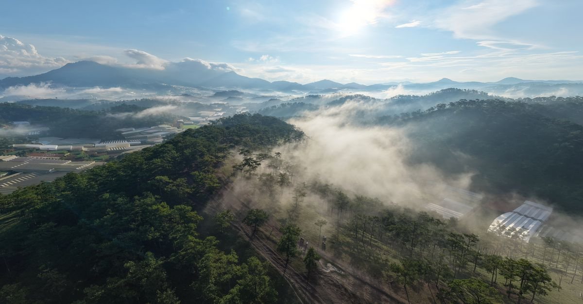 深度解析：热门影视剧口碑为何频频两极分化？核心问题与答案